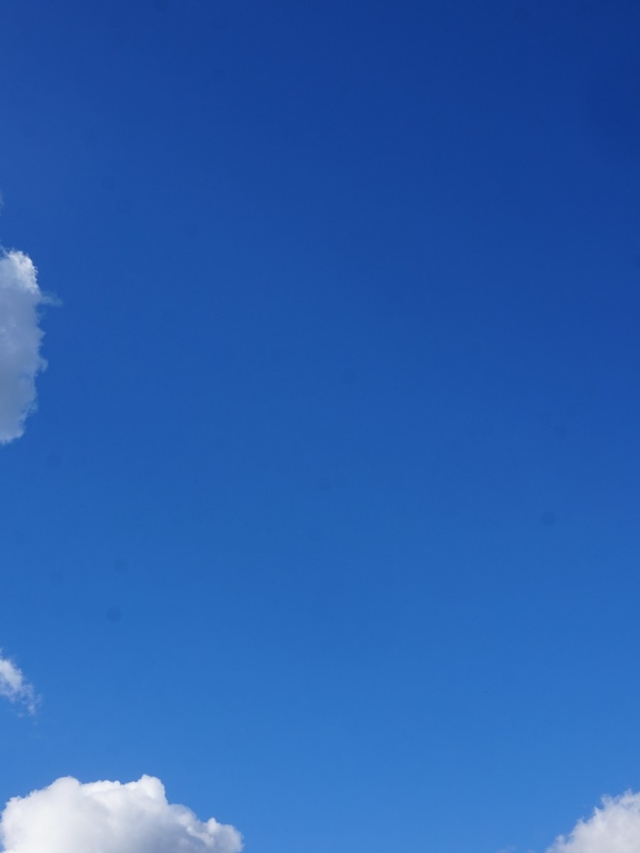 ›Der HERR‹ | ist meine Rettung und Kraft