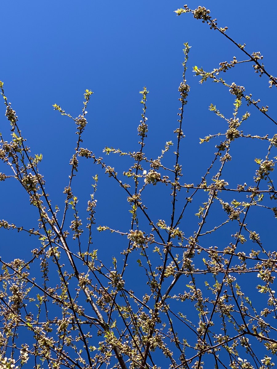 3. April | Bewegung + frische Luft am Albrechtshof