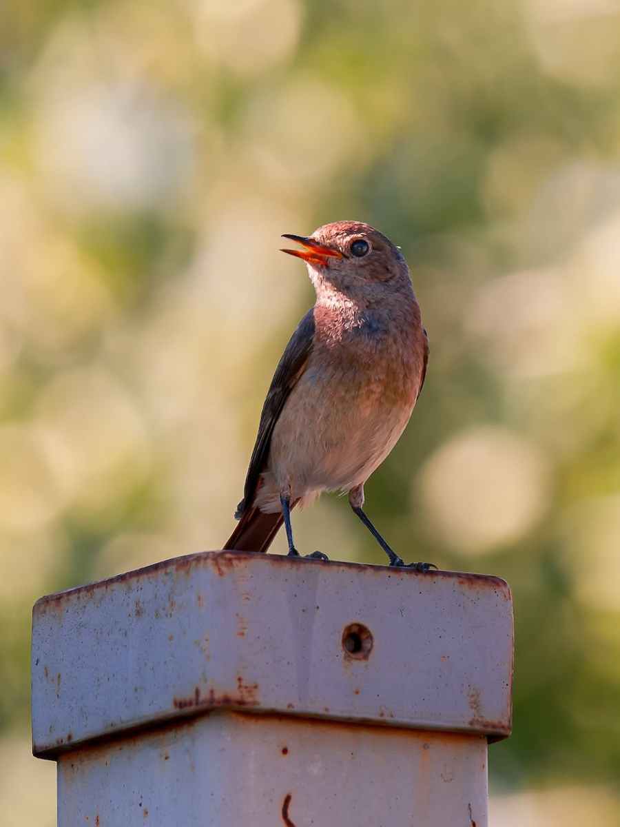 Kantate | 7. Mai 2023