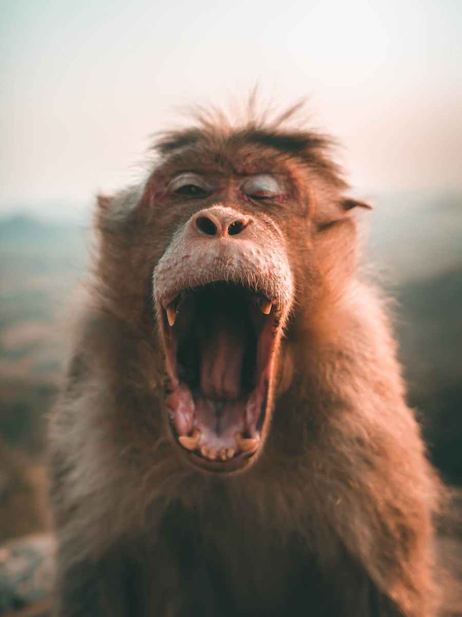 Die Macht der Narrative durchschauen