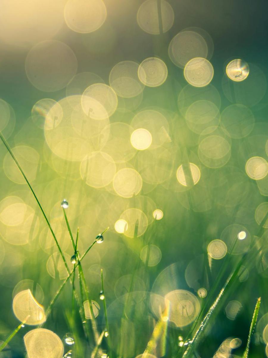 Trinitatis | Gott ist Beziehung