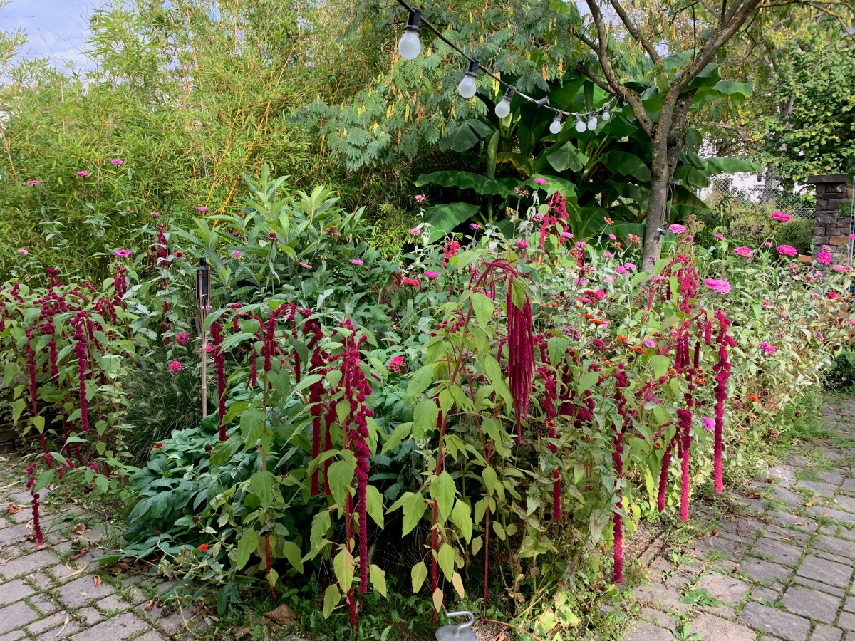 13. Oktober 2023 | Kunst im Garten | „Herbstfarben“