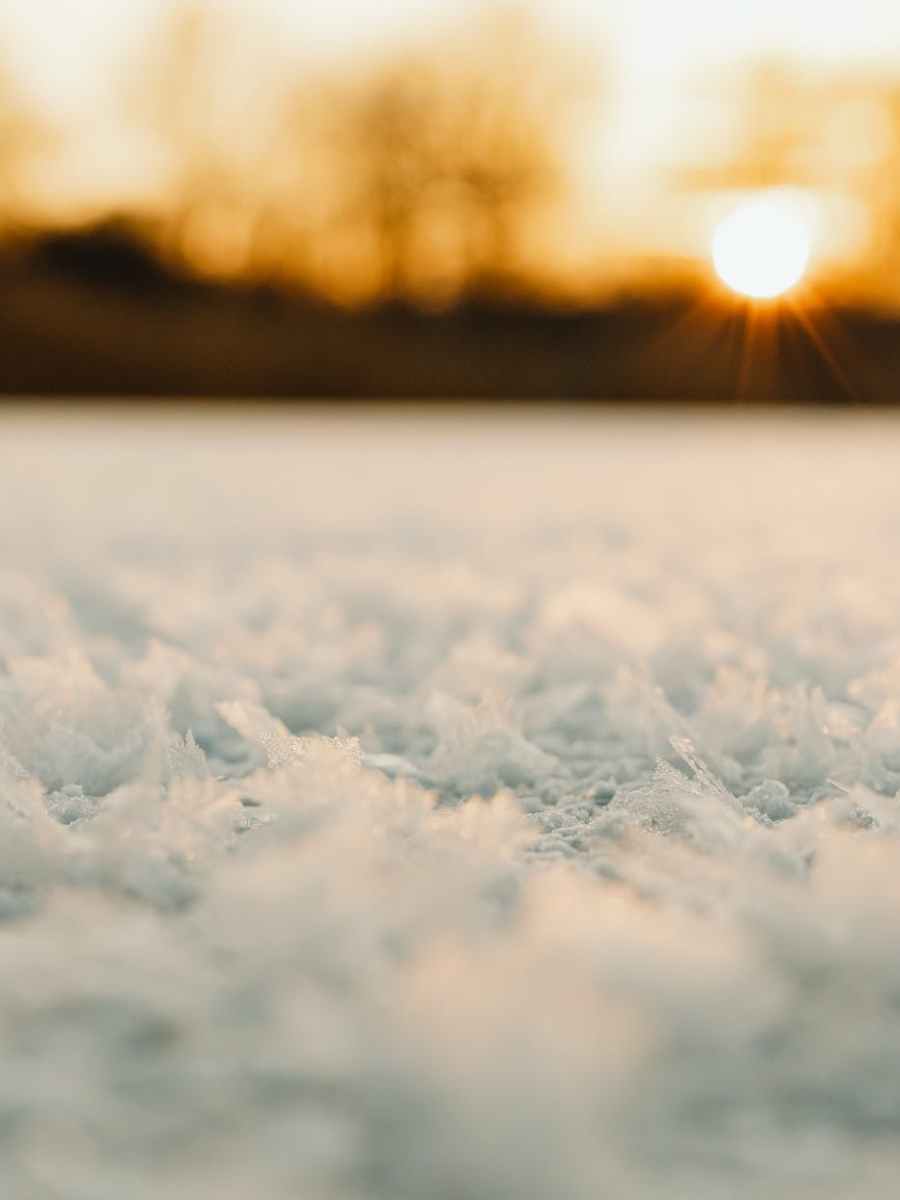 17. Januar 2024 | Schnee und Eis | Gesamt-RLP