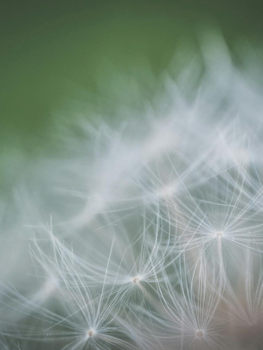 Alles Windhauch | #podcast #ruachjetzt