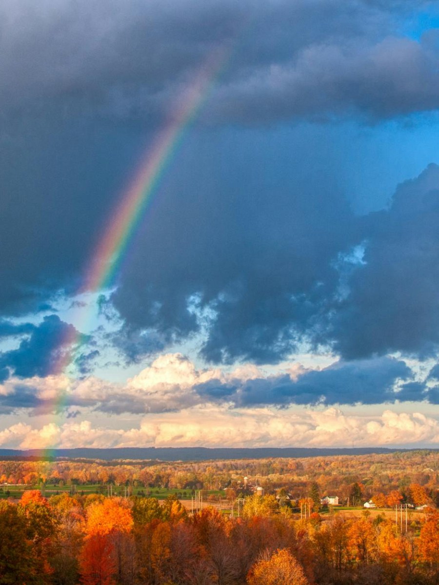 Der Bogen | Gedanken zur Losung vom 25. Juli 2024