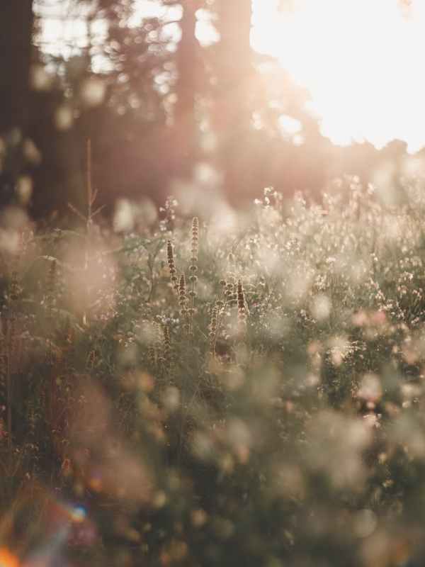 Der Valentinstag …