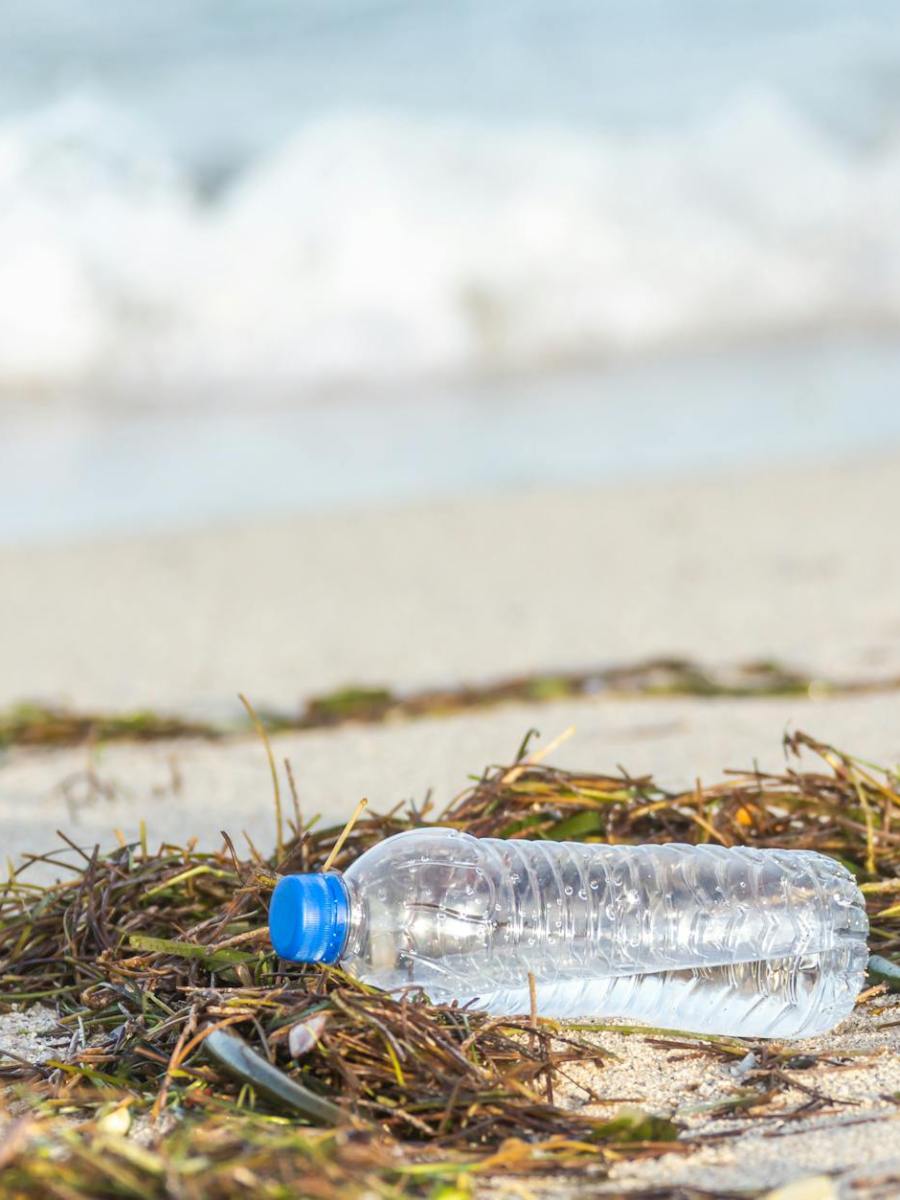 Wohlstand neu denken – bevor die Erde es tut